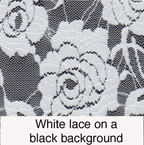 Lace: white rose